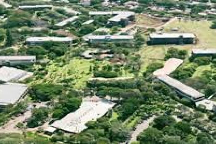 UEM adia provas dos vestibular 2020_659955216e93f.jpeg