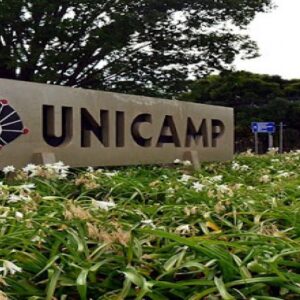 Unicamp Registra 63 Mil Inscritos no Vestibular 2025: Descubra os Cursos Mais Concorridos