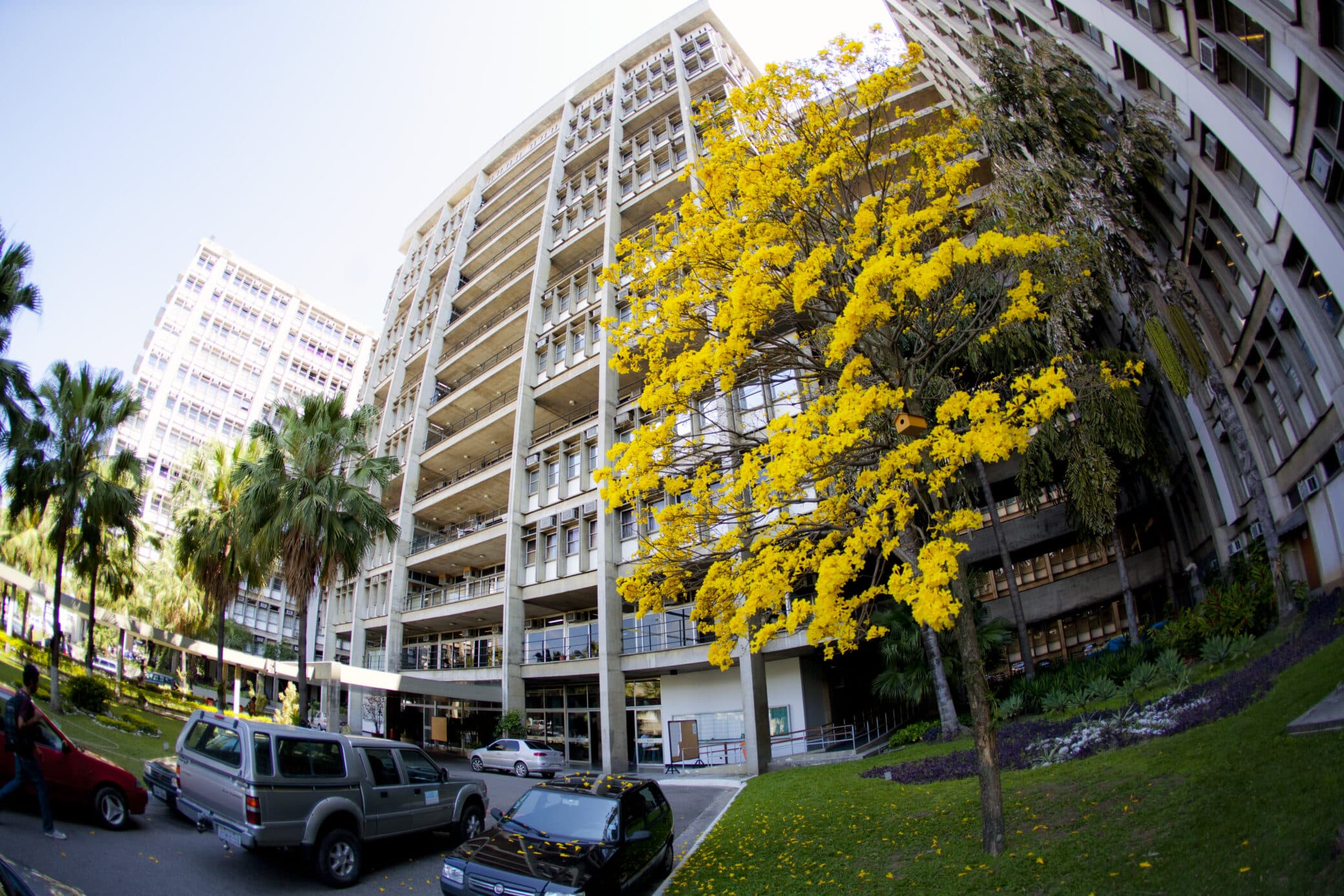 Isenção do Vestibular Uerj 2026: Como Solicitar e Regras