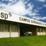 Vestibular Unesp 2026: isenções aprovadas e redução de 50% da taxa
