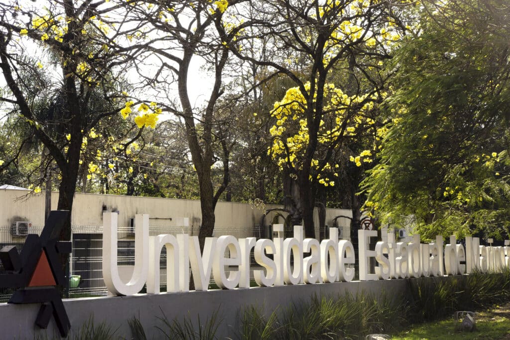 A UEM registrou a menor abstenção em 13 anos no seu Vestibular de Verão, sinalizando forte interesse no ensino público.