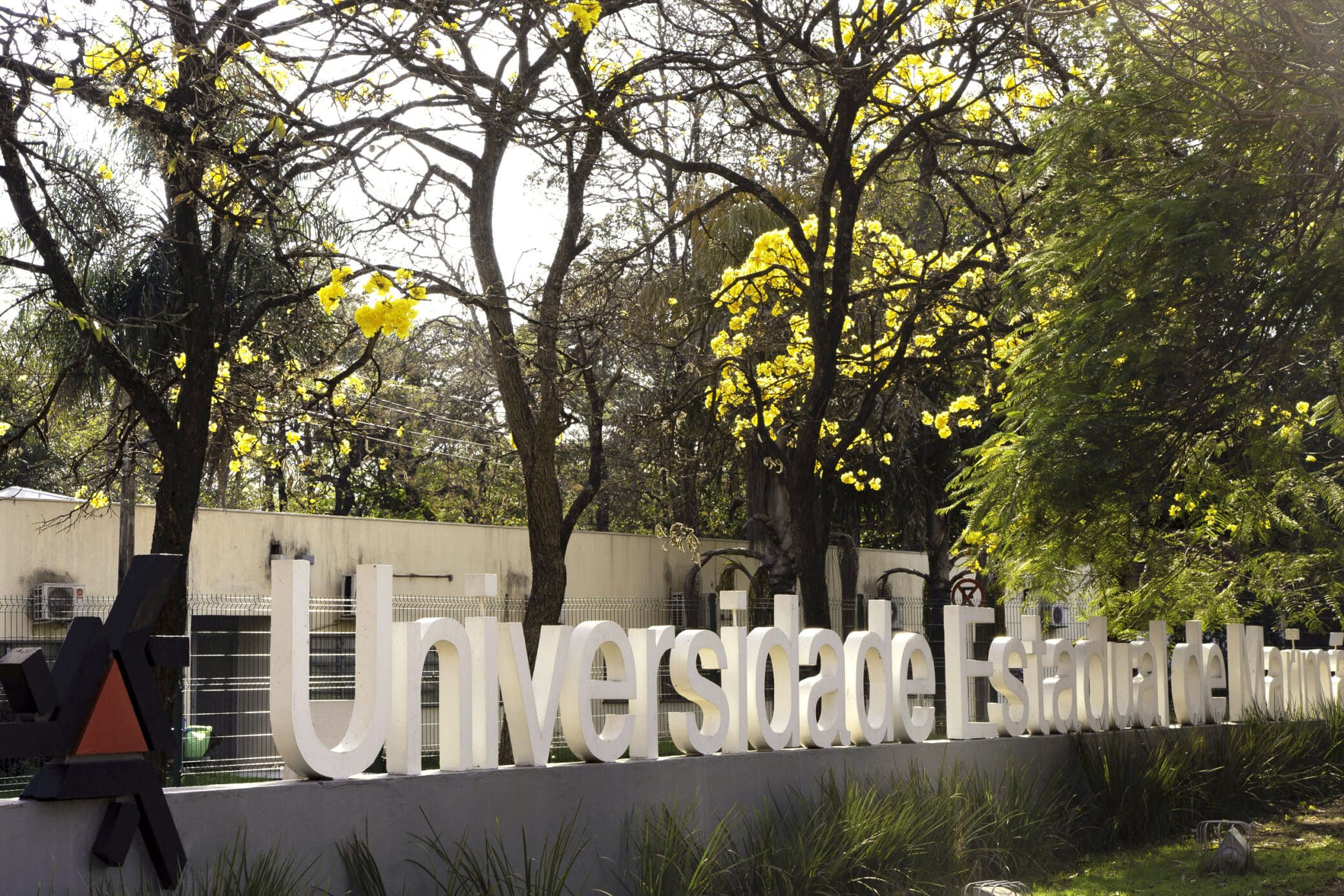 A UEM registrou a menor abstenção em 13 anos no seu Vestibular de Verão, sinalizando forte interesse no ensino público.