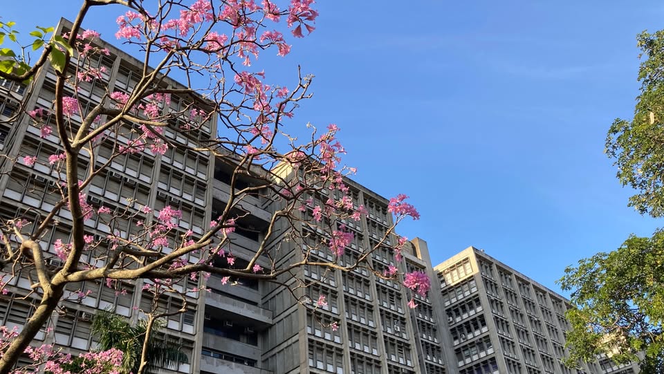 UERJ oferece 375 vagas remanescentes utilizando notas do ENEM, com inscrições abertas até 13 de novembro.