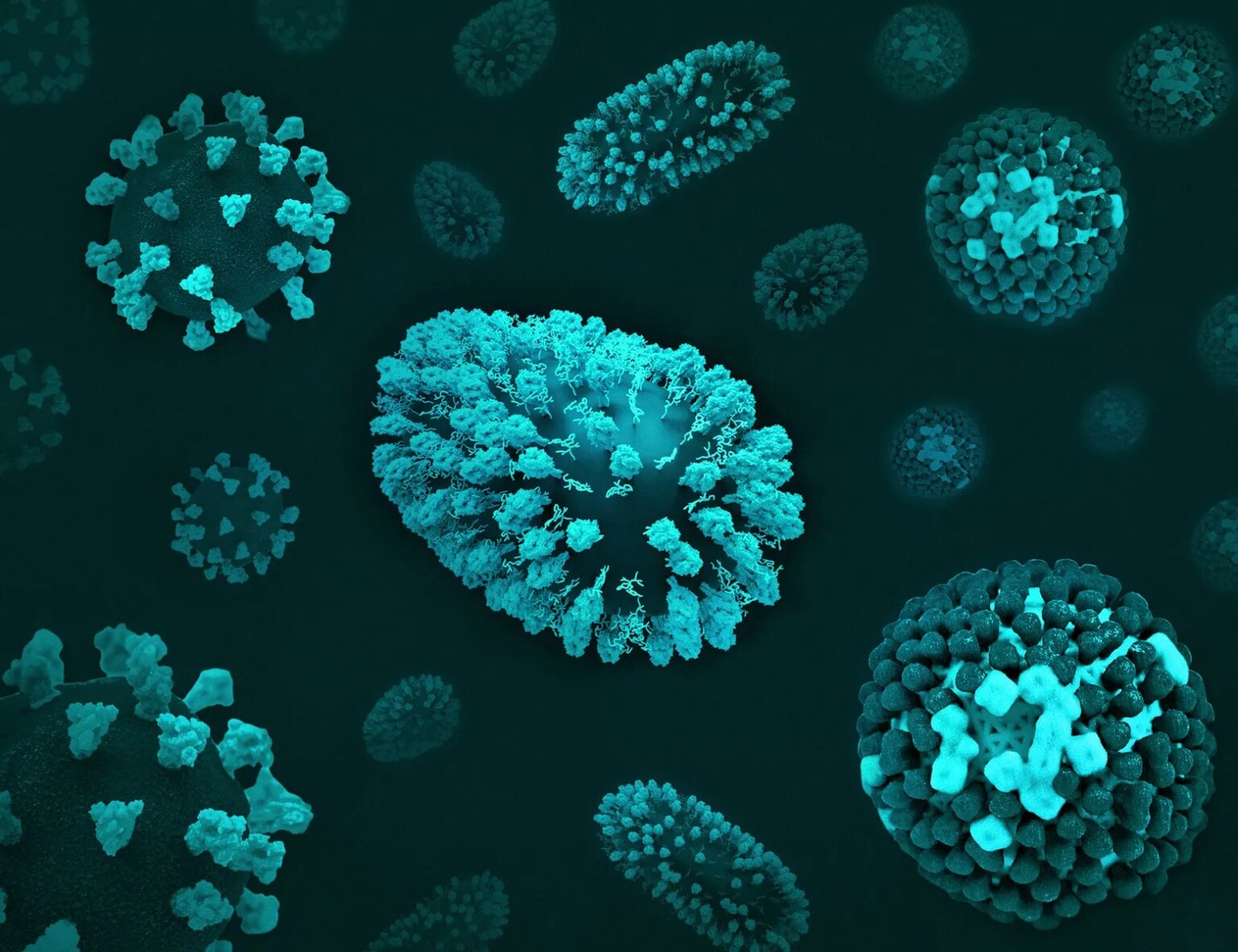 Vírus Nipah: informações atuais sobre o microrganismo letal – Clique ...