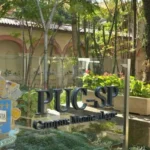 PUC-SP divulga gabarito do vestibular para o 2º semestre nesta segunda