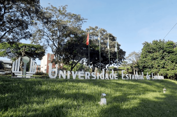 UEL registra 18.323 candidatos no Vestibular 2027, record em quatro anos
