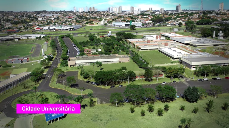 Unifef abre inscrições para o vestibular social 2027 com bolsas de estudo integrais