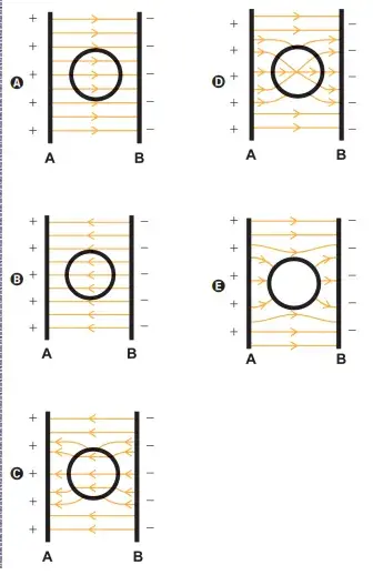 Figura original da prova: cinco esquemas (A, B, C, D e E) das linhas de campo entre as barras com um cilindro metálico oco no centro; no esquema E as linhas contornam o cilindro e o interior dele fica vazio